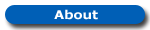 About the company